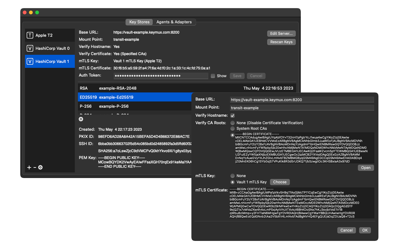 Hashicorp Vault with mTLS